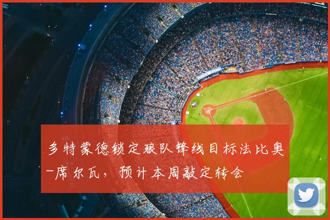 多特蒙德锁定狼队锋线目标法比奥-席尔瓦,预计本周敲定转会
