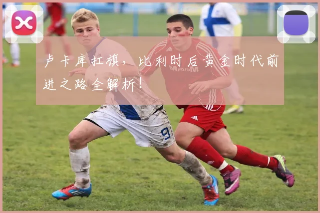 卢卡库扛旗，比利时后黄金时代前进之路全解析！