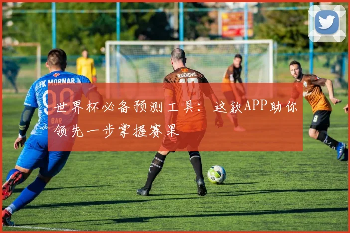 世界杯必备预测工具:这款APP助你领先一步掌握赛果