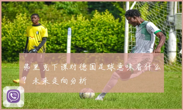 弗里克下课对德国足球意味着什么?未来走向分析