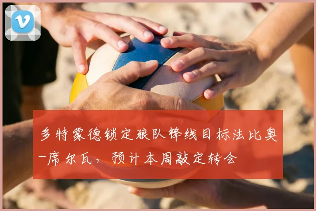 多特蒙德锁定狼队锋线目标法比奥-席尔瓦,预计本周敲定转会