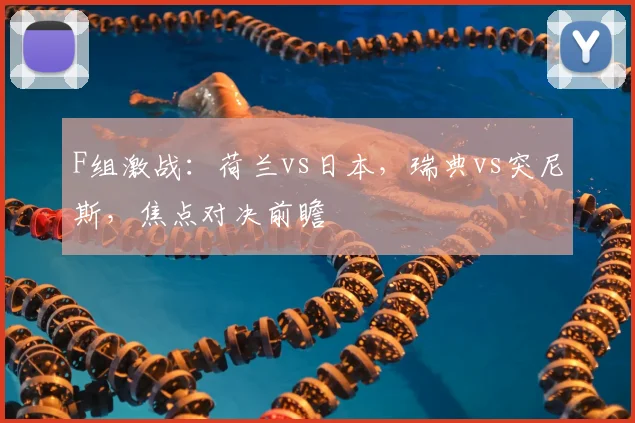 F组激战:荷兰vs日本,瑞典vs突尼斯,焦点对决前瞻