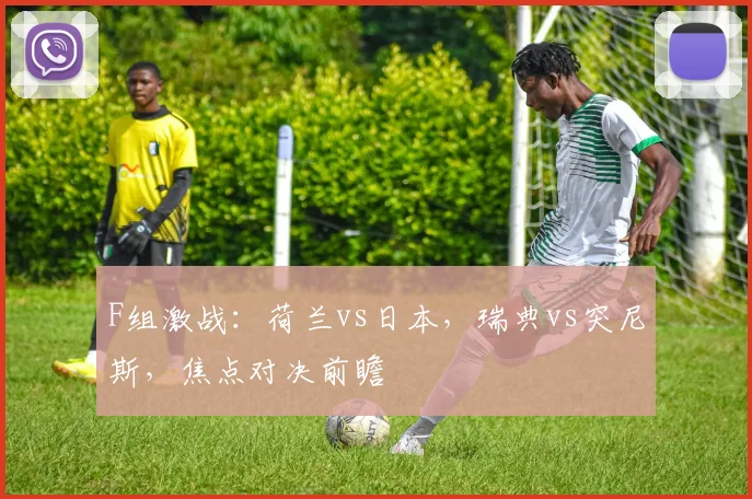 F组激战：荷兰vs日本，瑞典vs突尼斯，焦点对决前瞻